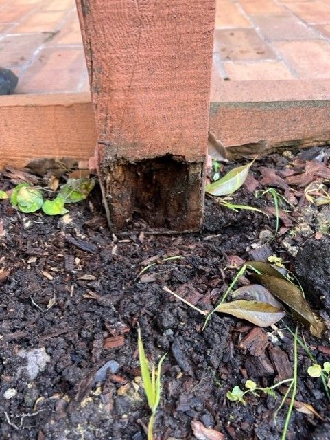 How to repair rotted load bearing post? - Bunnings Workshop community