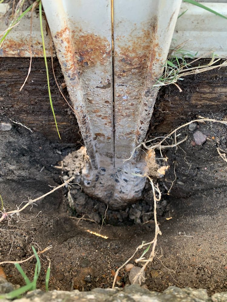 IMG_1468.jpg IMG_1468.jpg