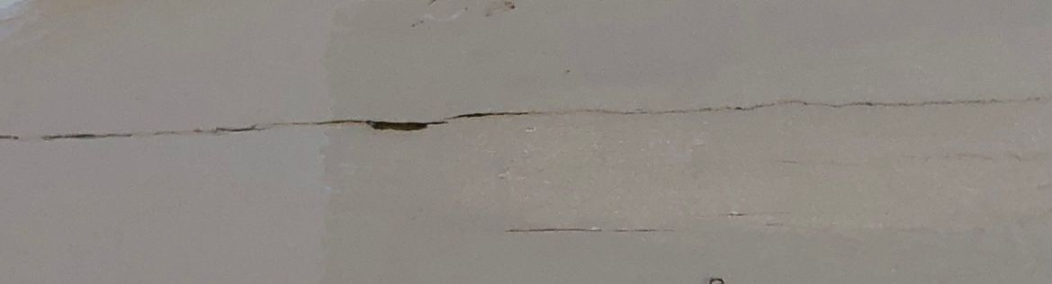 IMG_8141b.jpg IMG_8141b.jpg