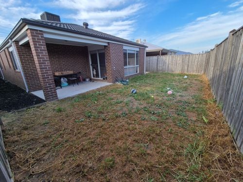 1000032225.jpg 1000032225.jpg