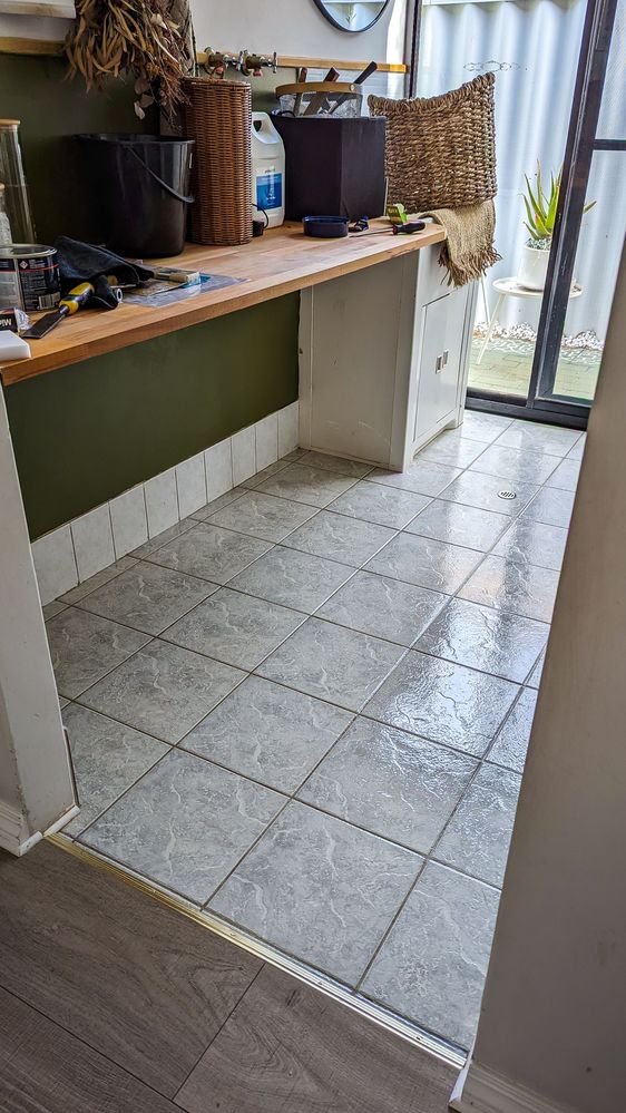 PXL_20230523_053239614.MP.jpg PXL_20230523_053239614.MP.jpg