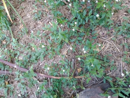 1000000366.jpg 1000000366.jpg