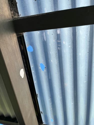 IMG_6559.jpeg IMG_6559.jpeg