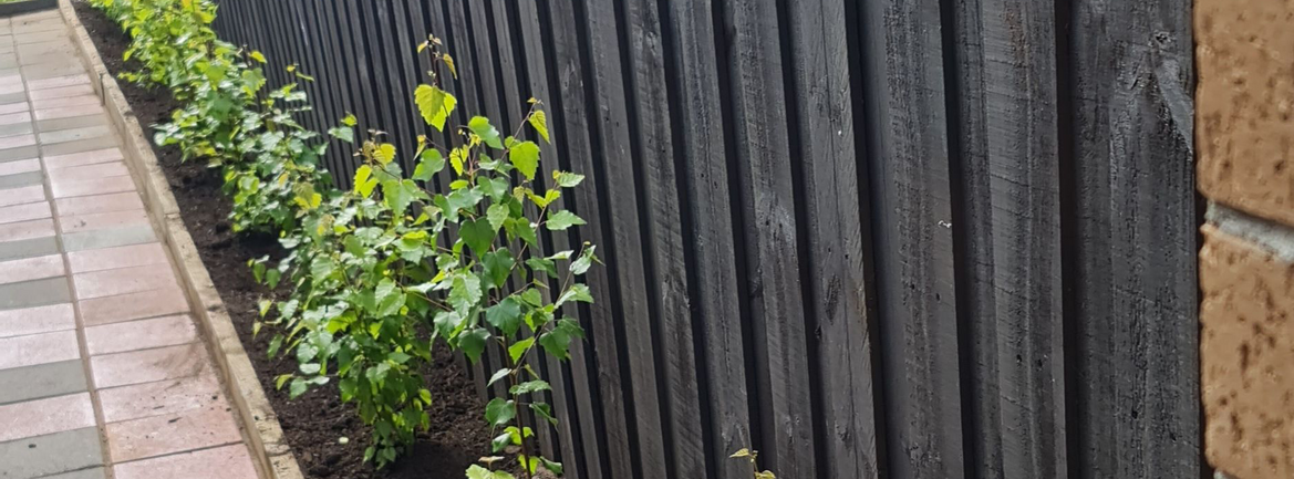 Nikkaz (2).png Nikkaz (2).png