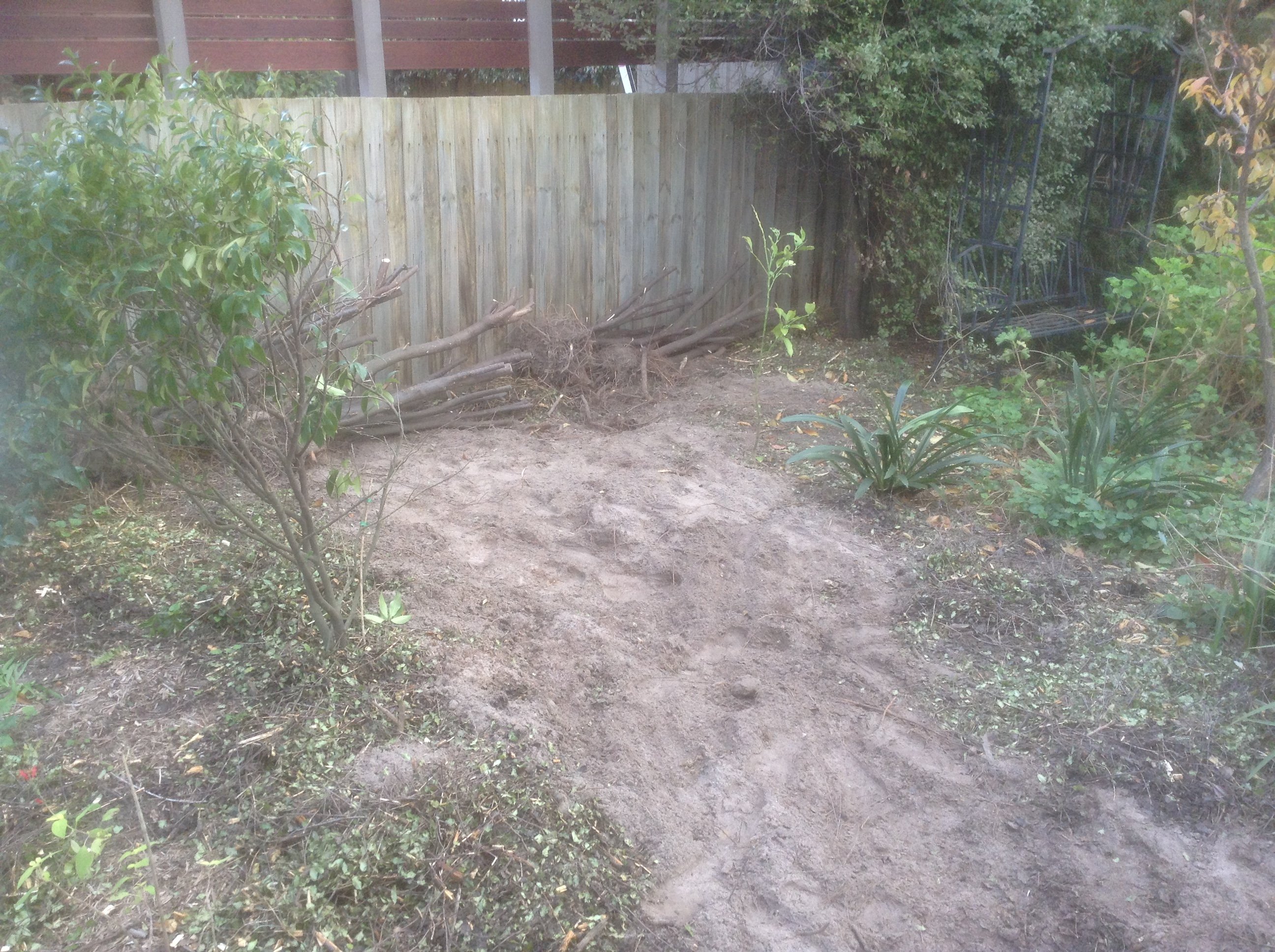 image.jpeg image.jpeg