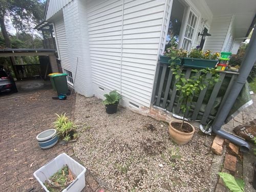 IMG_5308.jpeg IMG_5308.jpeg