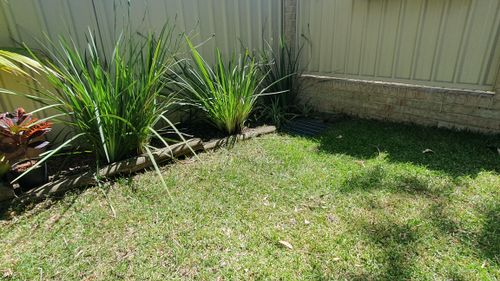 20251202_101315.jpg 20251202_101315.jpg