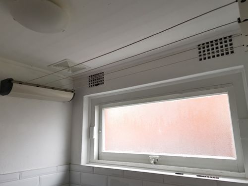 IMG_20200727_110148.jpg IMG_20200727_110148.jpg