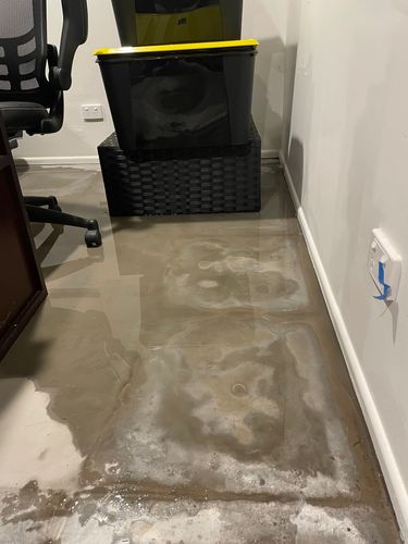 IMG_0718.jpeg IMG_0718.jpeg