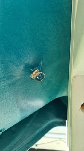 20260124_110505.jpg 20260124_110505.jpg