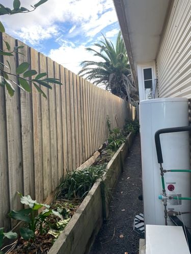 IMG_8984.jpeg IMG_8984.jpeg