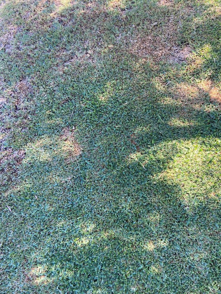 IMG_9825.JPG IMG_9825.JPG