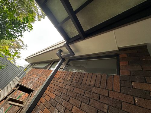 IMG_2949.jpeg IMG_2949.jpeg