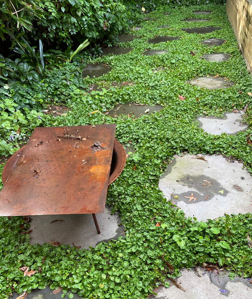 update.png update.png