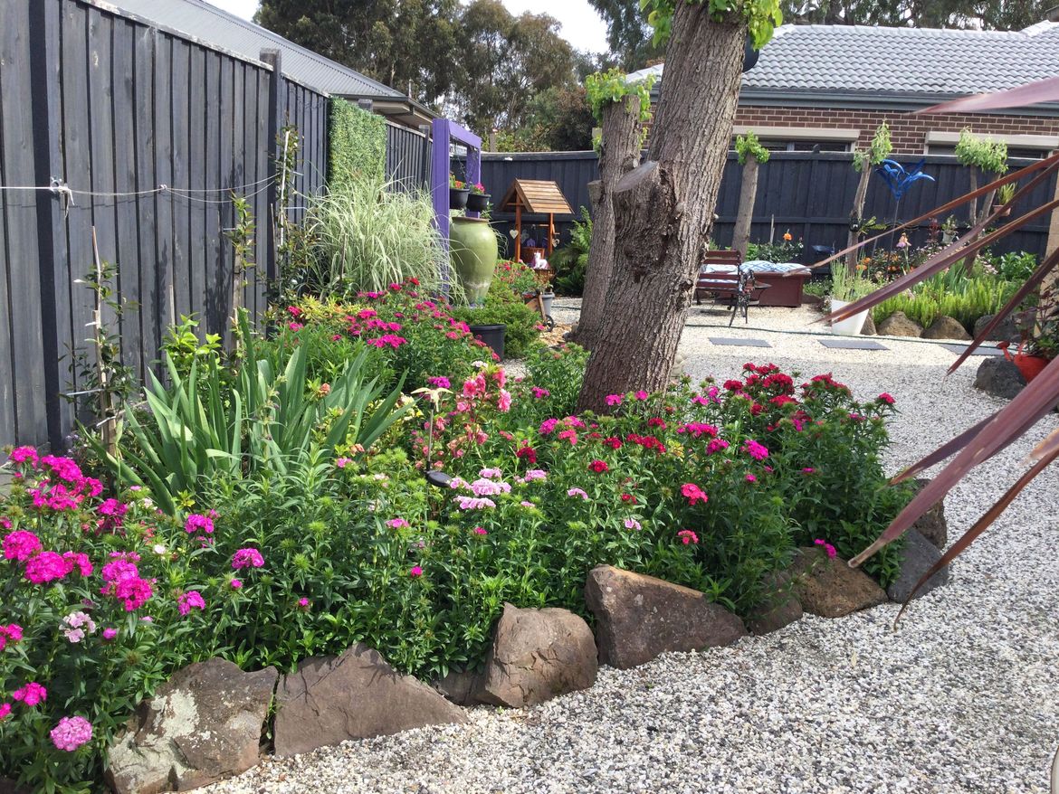 A151356E-5FE1-41AE-B41C-8A29B544276A.jpeg A151356E-5FE1-41AE-B41C-8A29B544276A.jpeg