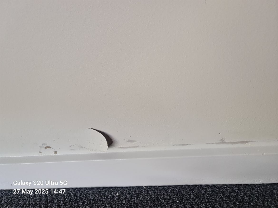 WhatsApp Image 2025-05-27 at 14.55.27.jpeg WhatsApp Image 2025-05-27 at 14.55.27.jpeg