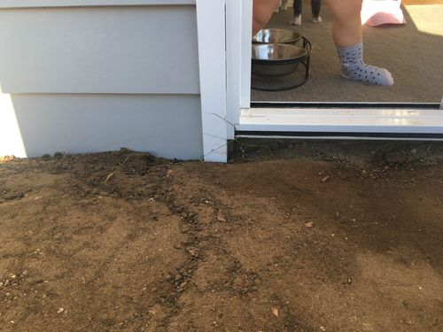 49BF2A03-10B9-4E71-BA7C-7B85BFE28050.jpeg 49BF2A03-10B9-4E71-BA7C-7B85BFE28050.jpeg