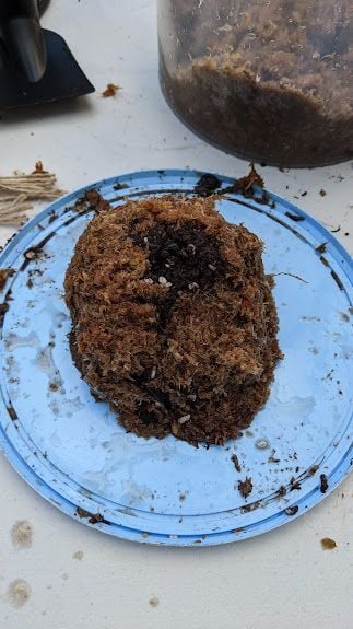 PXL_20240727_053440360.jpg PXL_20240727_053440360.jpg