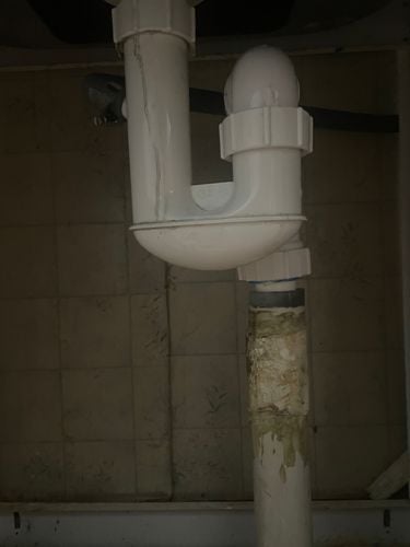 IMG_0228.jpeg IMG_0228.jpeg