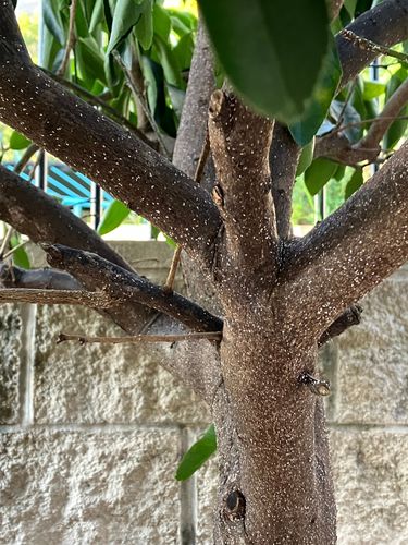 IMG_9408.jpeg IMG_9408.jpeg