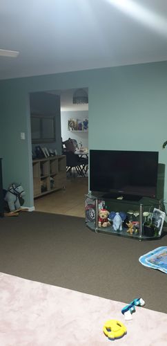 Sugar_2-1654950348037.jpeg Sugar_2-1654950348037.jpeg