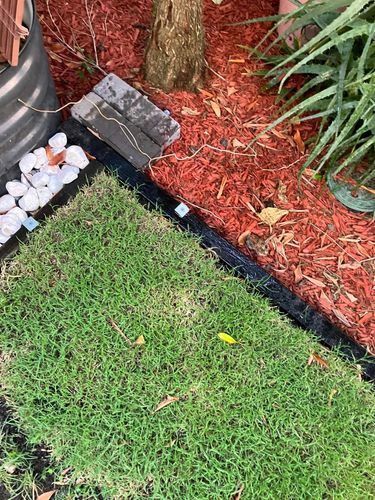 417707398_10161392186780288_2465582802472545459_n.jpg 417707398_10161392186780288_2465582802472545459_n.jpg