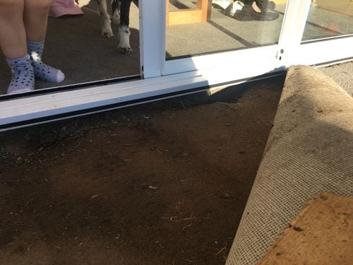 7F3A5EBF-6576-4507-9FB5-278E347A9C2F.jpeg 7F3A5EBF-6576-4507-9FB5-278E347A9C2F.jpeg