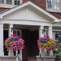 Step 6.1. Hanging baskets in front of home.png Step 6.1. Hanging baskets in front of home.png