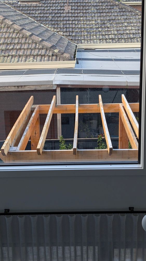 PXL_20251114_073241872.jpg PXL_20251114_073241872.jpg