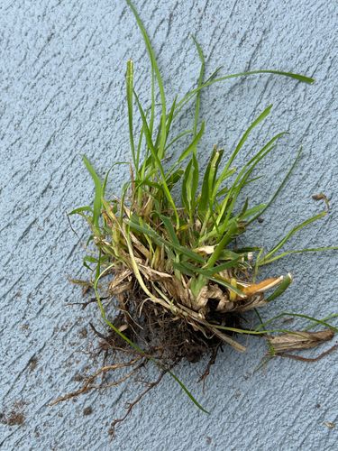 IMG_4850.jpeg IMG_4850.jpeg