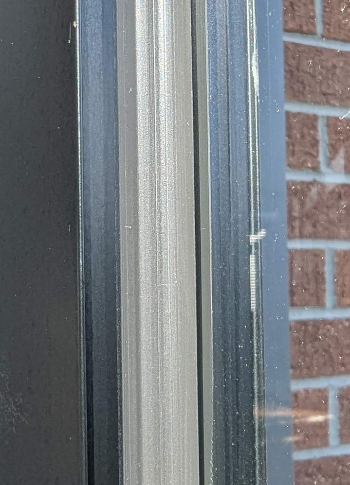 PXL_20250729_040041583~2.jpg PXL_20250729_040041583~2.jpg