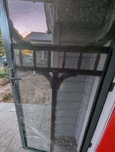 1000179551.jpg 1000179551.jpg