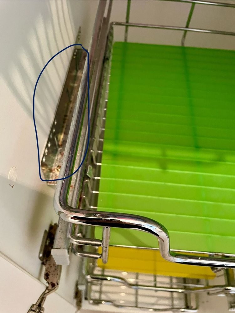 IMG_8977.jpg IMG_8977.jpg