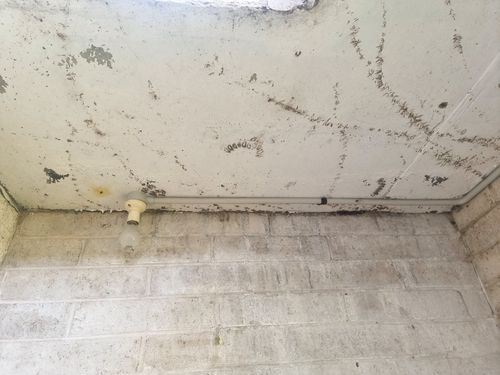 20231115_154059.jpg 20231115_154059.jpg