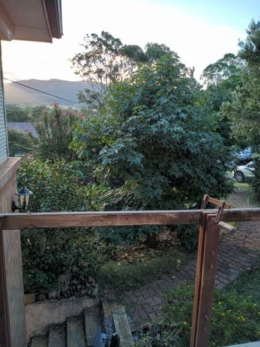 01s 26-03-2025.jpg 01s 26-03-2025.jpg