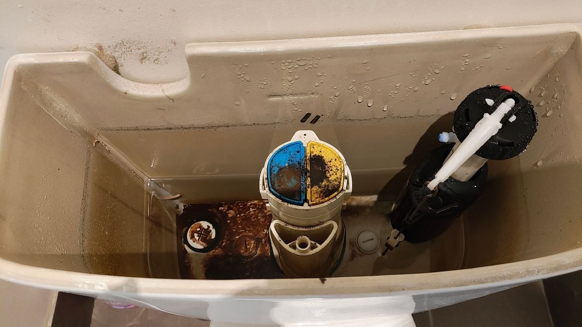 IMG_20250327_090235220.jpg IMG_20250327_090235220.jpg