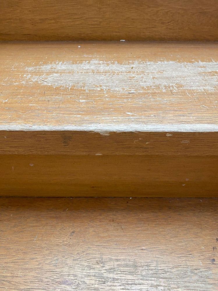 image3.jpg image3.jpg