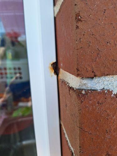 1000006946.jpg 1000006946.jpg