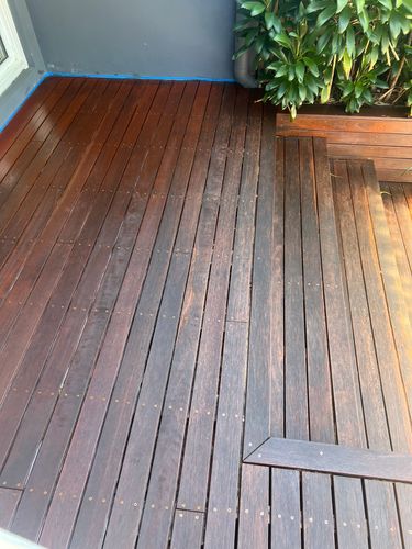 IMG_5375.jpeg IMG_5375.jpeg