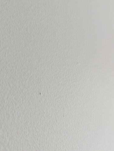 PXL_20250730_234543957.jpg PXL_20250730_234543957.jpg