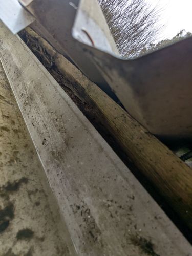 1000073617.jpg 1000073617.jpg