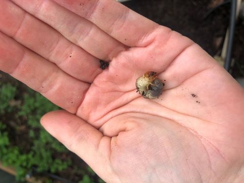 46DF8322-842A-46B4-8F69-6C9BD875157F.jpeg 46DF8322-842A-46B4-8F69-6C9BD875157F.jpeg