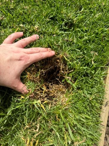 IMG_3044.jpeg IMG_3044.jpeg