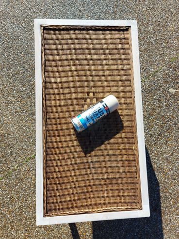 20220724_110241.jpg 20220724_110241.jpg