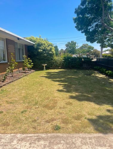 IMG_5555.jpeg IMG_5555.jpeg