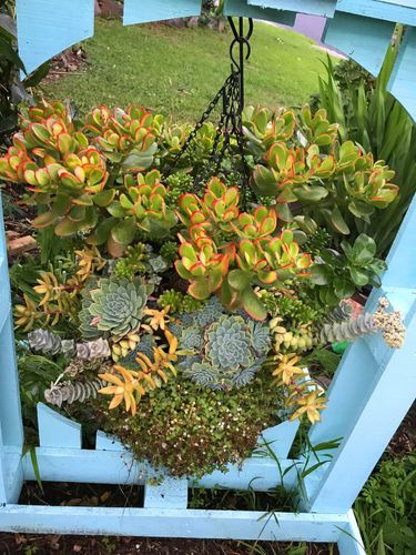 FFEECF35-91CB-4954-9714-5BF67C1621E2.jpeg FFEECF35-91CB-4954-9714-5BF67C1621E2.jpeg