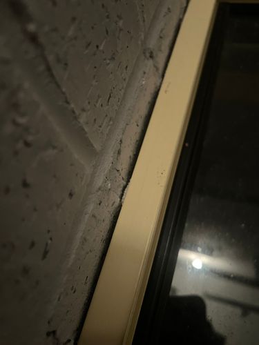 IMG_9609.jpeg IMG_9609.jpeg