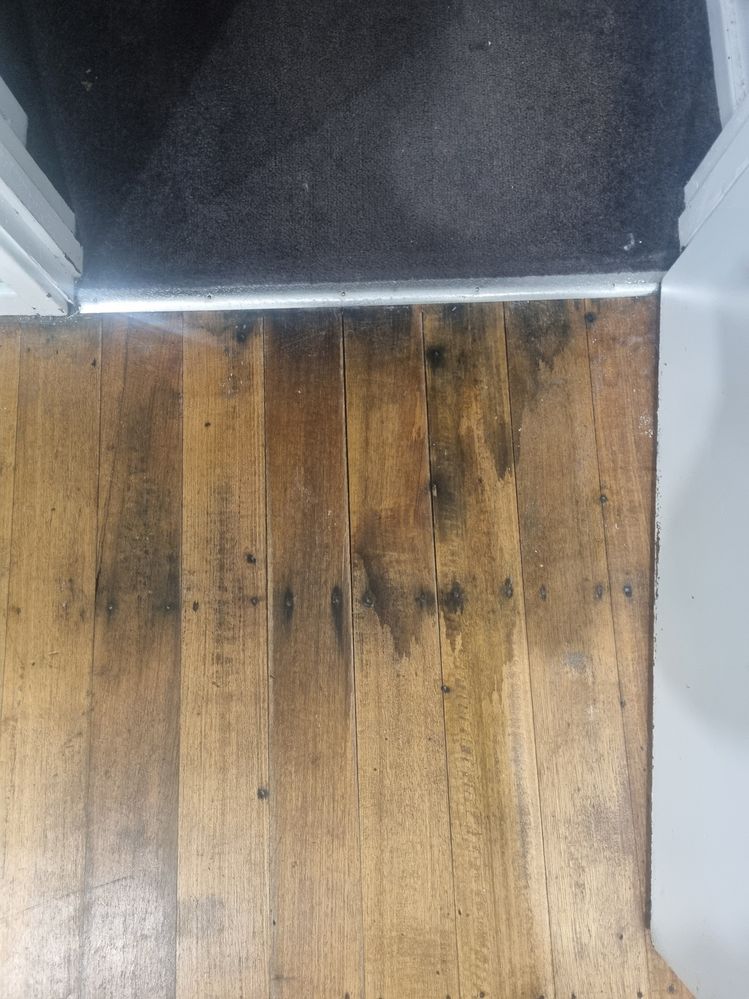 20230120_205659.jpg 20230120_205659.jpg