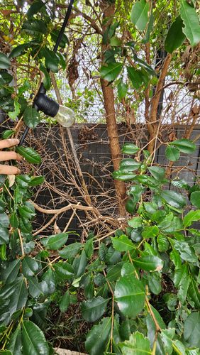 1000023884.jpg 1000023884.jpg