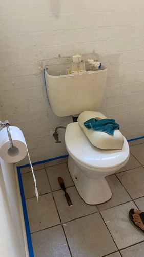 94E24C0B-0339-43AE-8D69-6262ACBBF478.jpeg 94E24C0B-0339-43AE-8D69-6262ACBBF478.jpeg